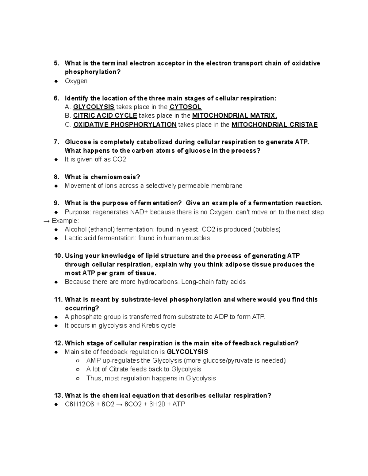 Chapter 9 Cellular Respiration Studyguide Part 2 What Is The Terminal