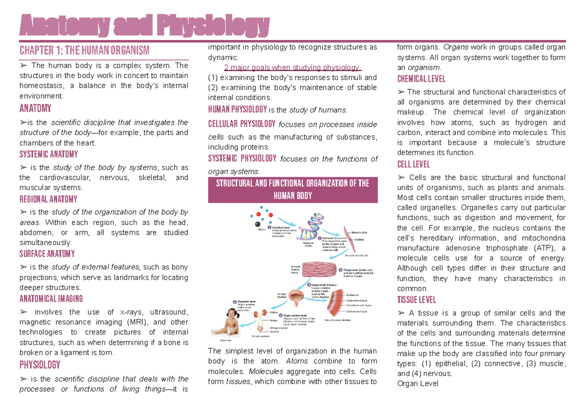 Anaphy - Anatomy and Physiology Chapter 1: the human organism The human ...