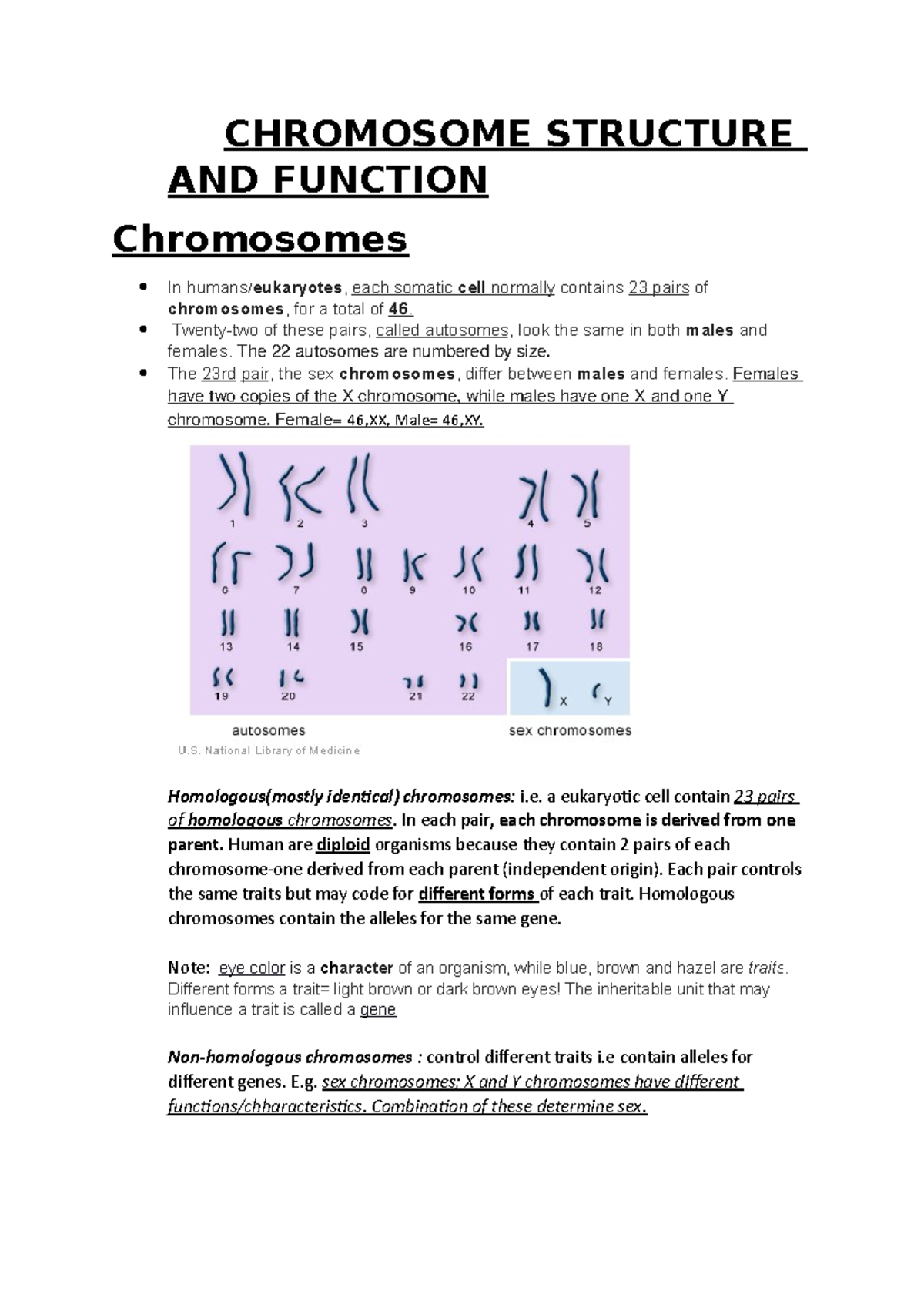 Chromosome Structure AND Function notes - CHROMOSOME STRUCTURE AND ...