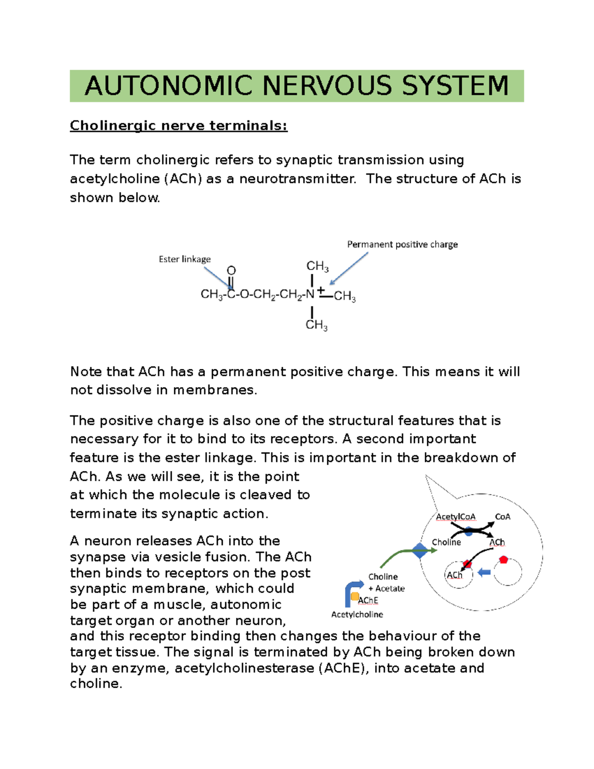 4 - Autonomic Nervous System - AUTONOMIC NERVOUS SYSTEM Cholinergic ...