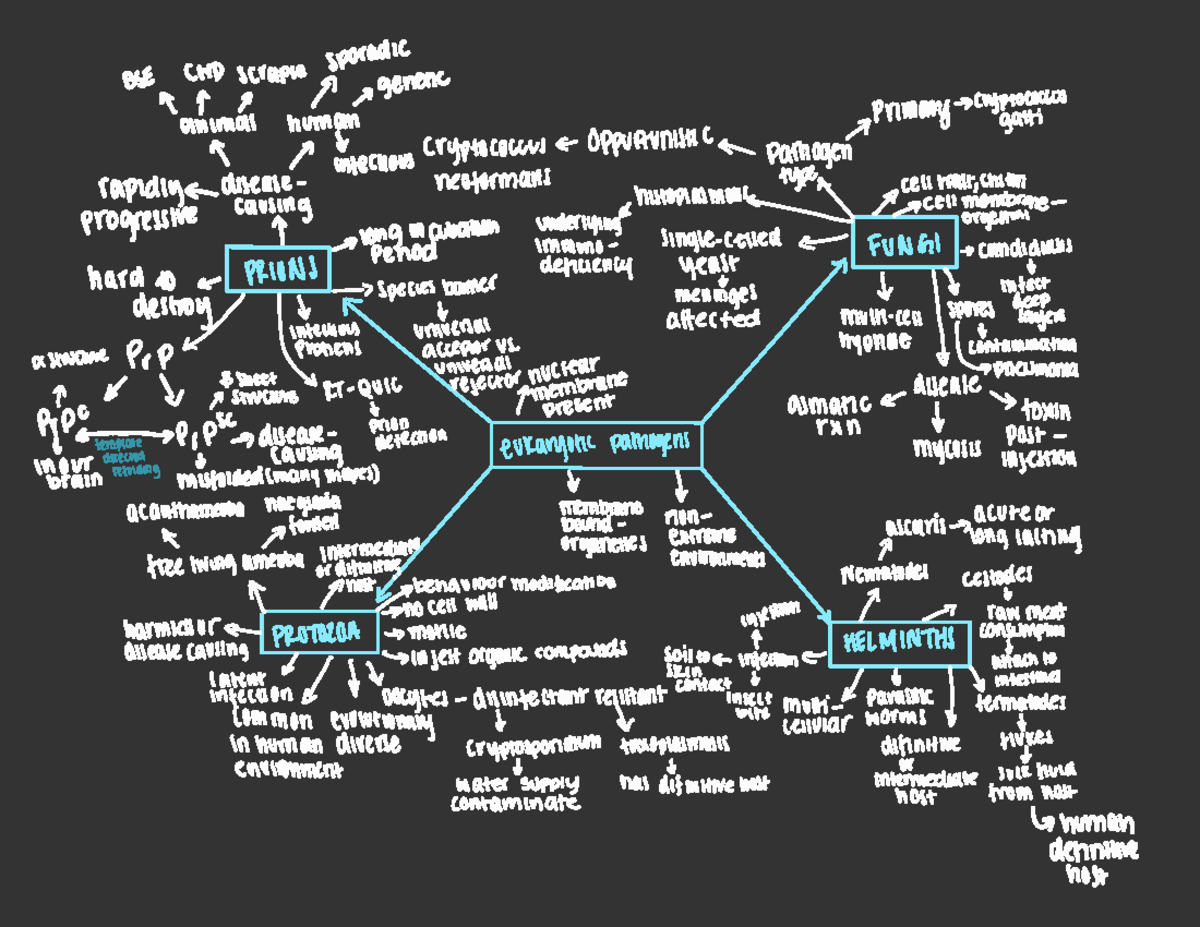 Unit 4 Concept Map - Unit 4 - BSE CWD scrapie sporadic → genetic ↑ ↑ ...