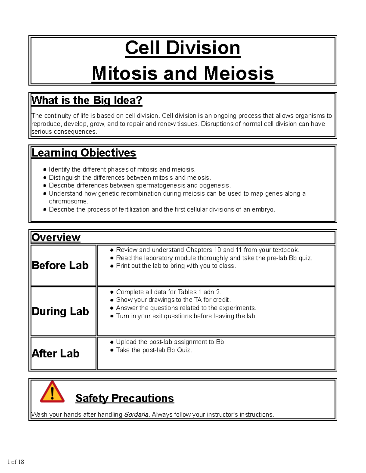 cell-division-lab-6-cell-division-mitosis-and-meiosis-what-is-the-big