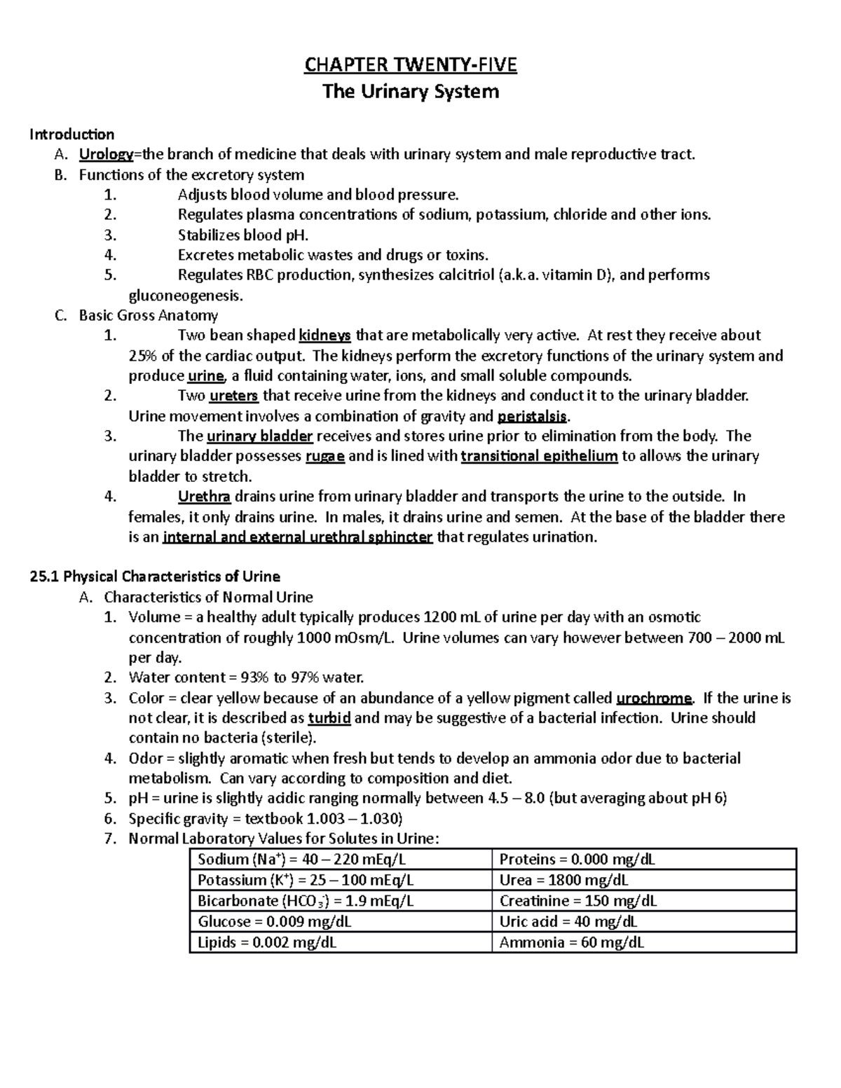 Ch. 25 urinary system - Mrs. Baker's class - CHAPTER TWENTY-FIVE The ...