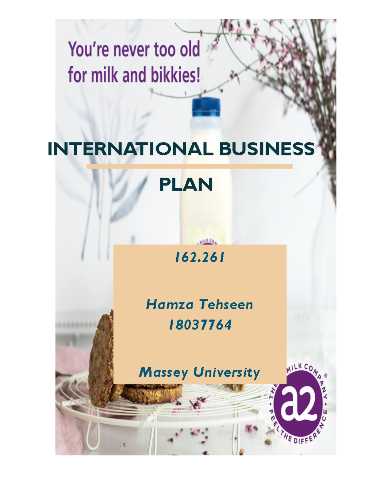 International Business Plan Example - INTERNATIONAL BUSINESS PLAN 162 ...