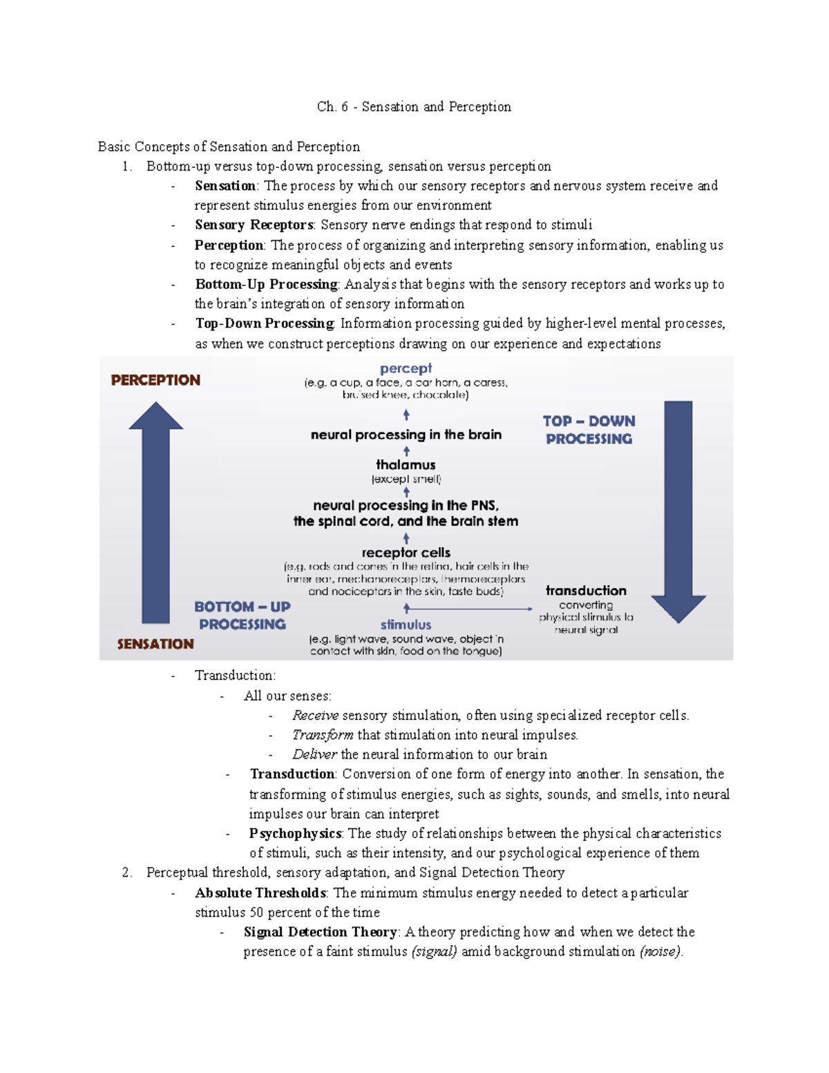 Ch. 6 - Sensation And Perception - Ch. 6 - Sensation And Perception ...