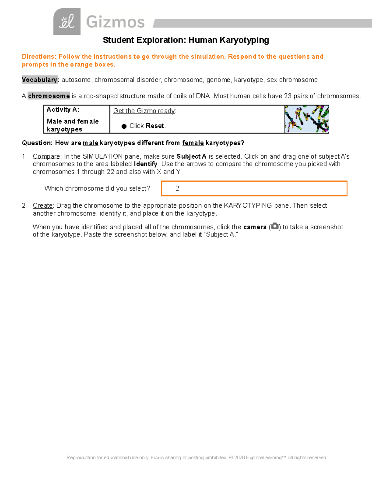 Copy Of Human Karyotyping Gizmo - Student Exploration: Human ...