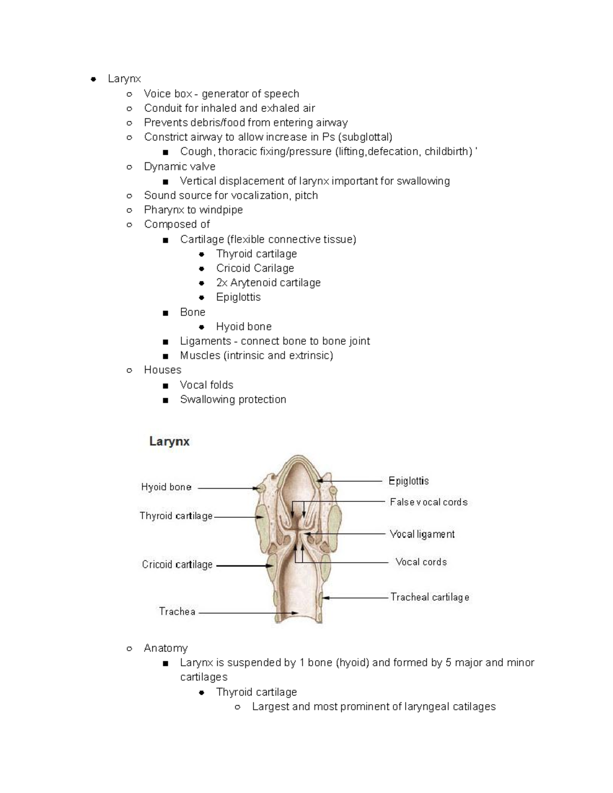 455 Unit 2 Notes - Larynx Voice box - generator of speech Conduit for ...