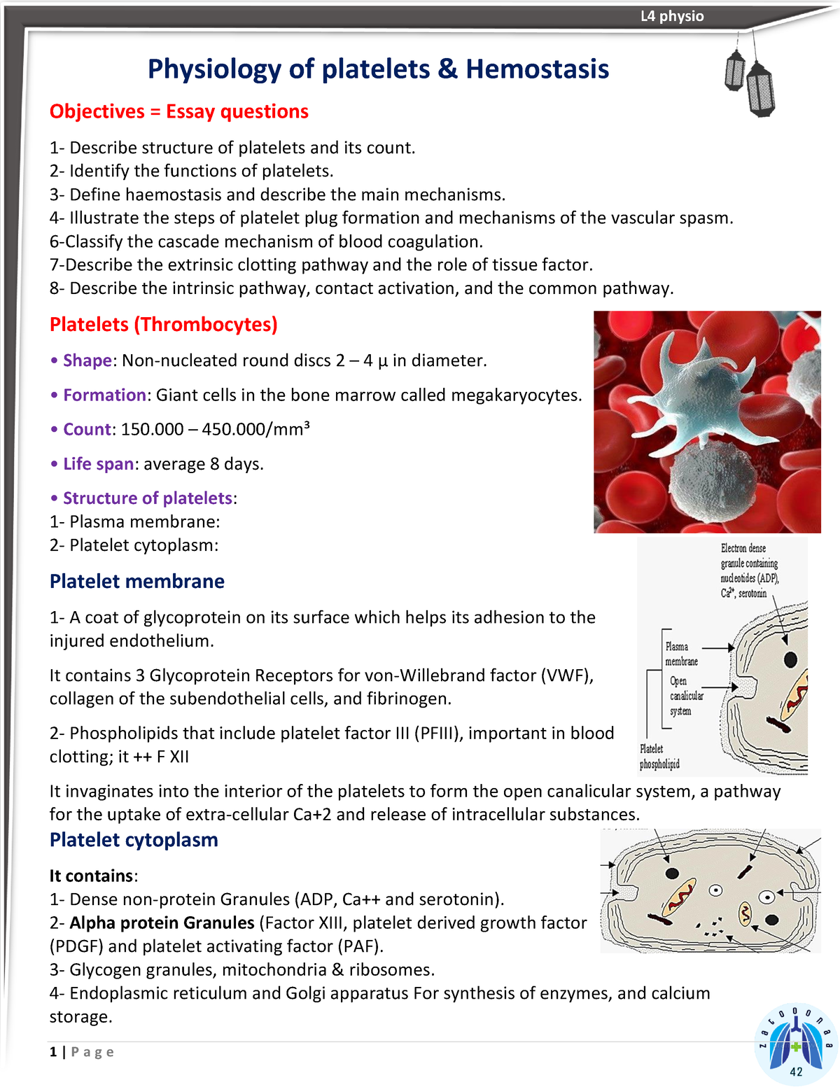 essay on platelets