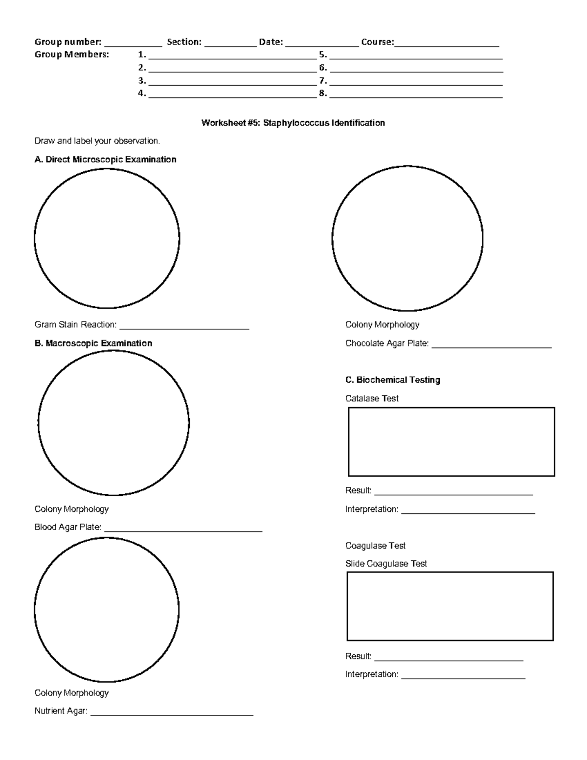 Worksheet 5 Staphylococcus Identification - Group number ...