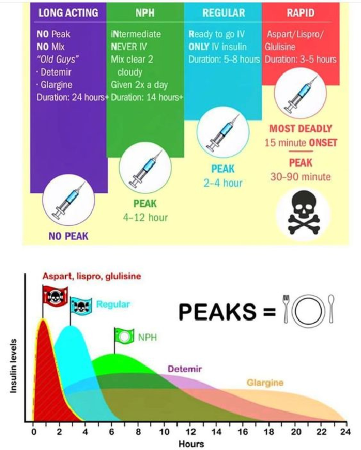 Insulin - LONG ACTING NPH REGULAR RAPID NO Peak iNtermediate Ready to ...