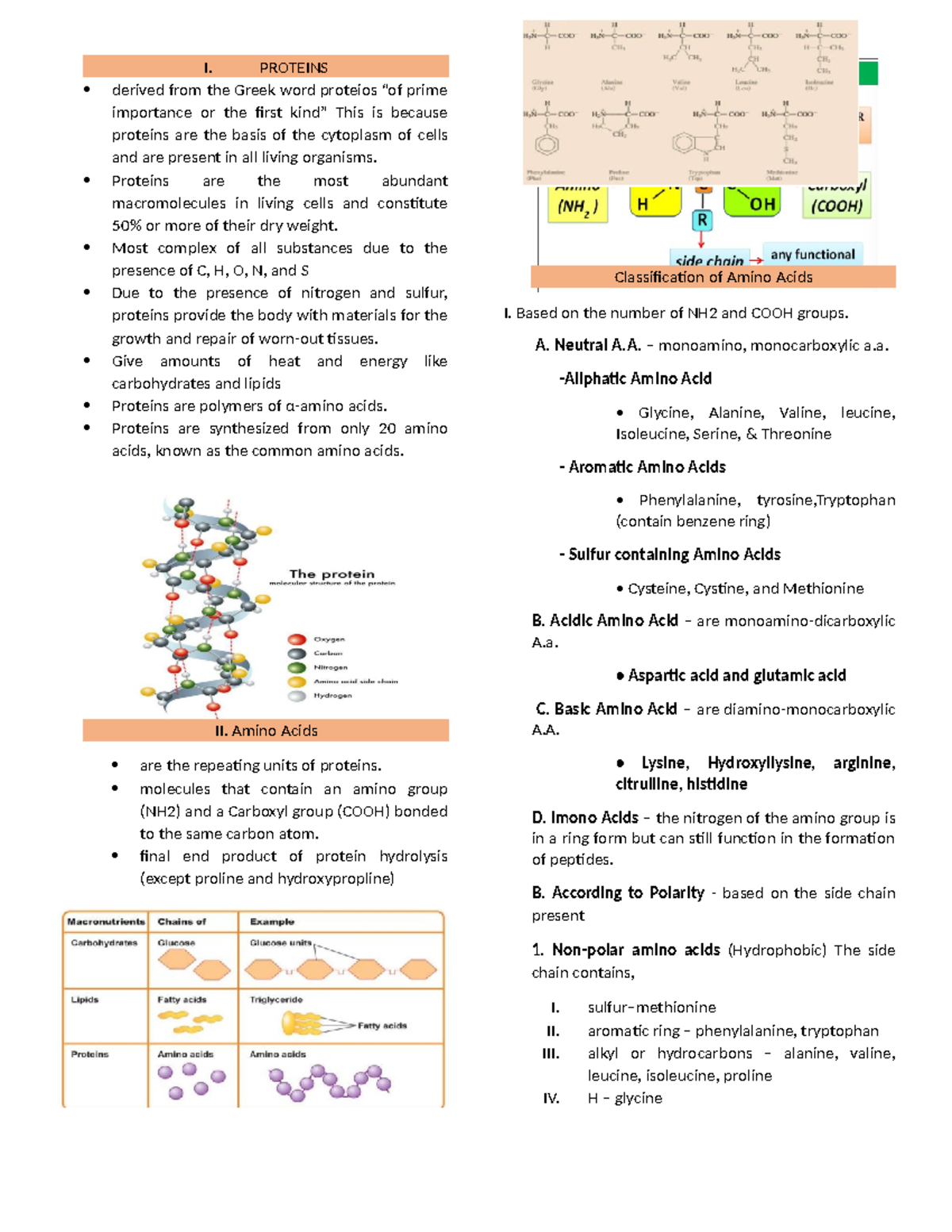 P1 9 27 Biochem Proteins Transes - I. PROTEINS derived from the Greek ...