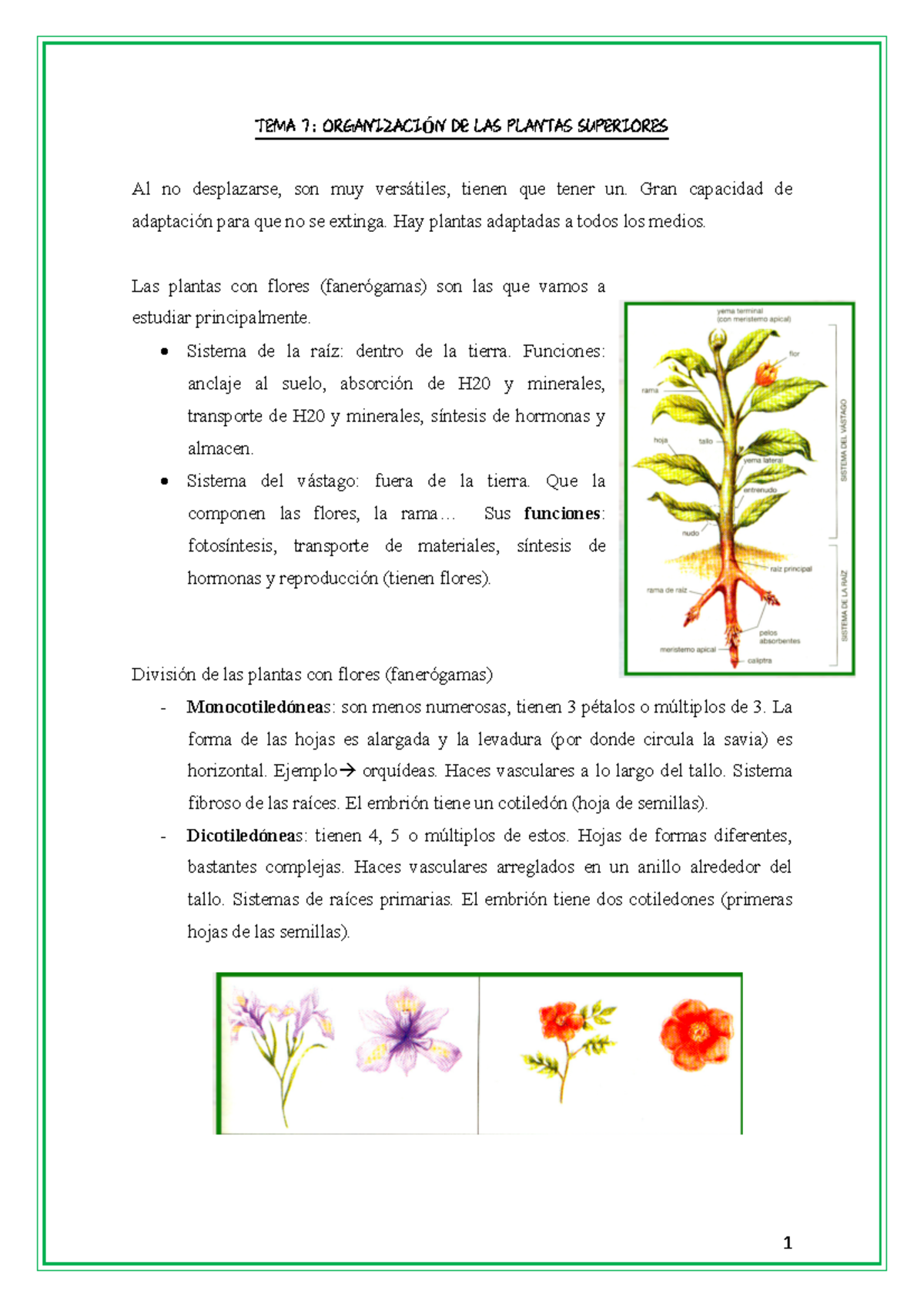TEMA 7 PDF - Apuntes - Warning: TT: undefined function: 32 Warning ...