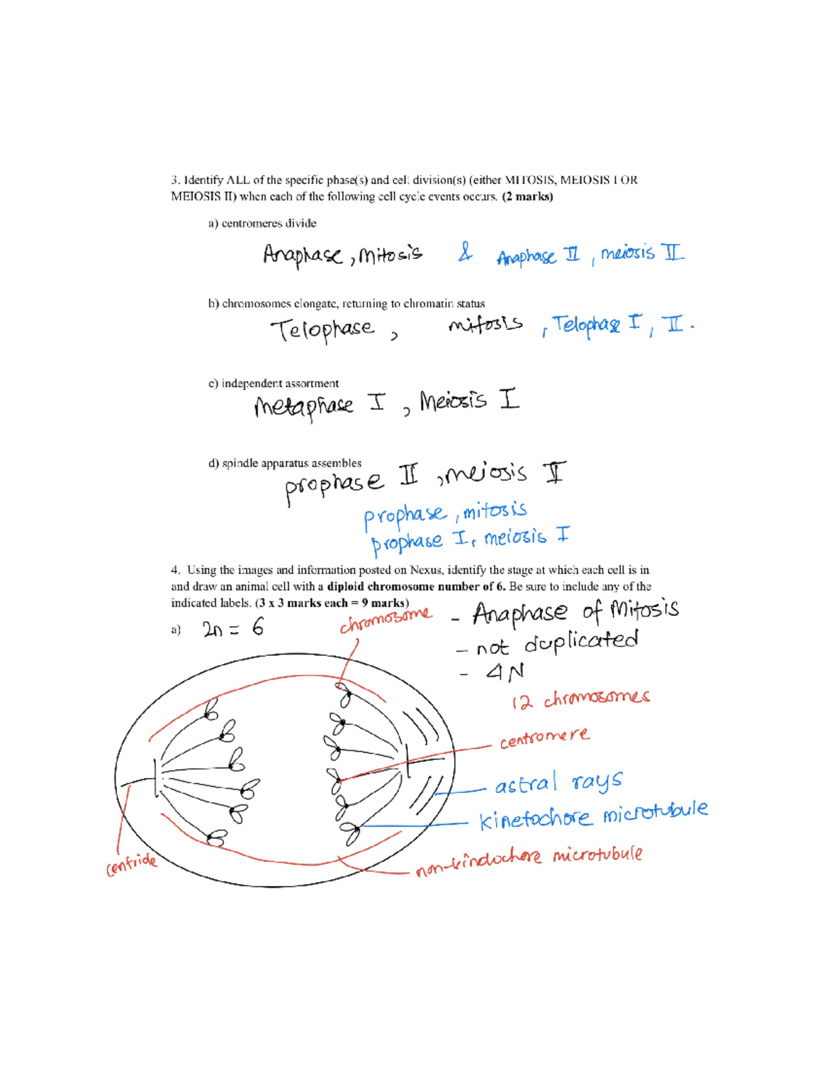 lab support a division of on assignment