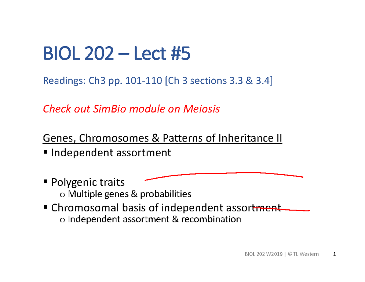 BIOL202 W2019 TWestern Lect5 annotated - BIOL 202 – Lect #5 Readings ...