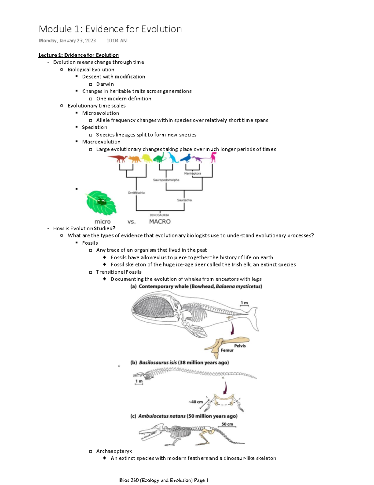 Bios 230 Ecology And Evolution Module 1 Lecture 1 Evidence For Evolution Evolution Means Bios 230 Ecology And Evolution Module 1 Lecture 1 Evidence For Evolution Evolution Means