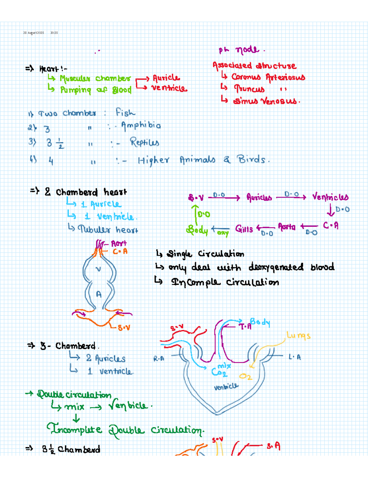 BODY Fluid AND Circulation Notes - Data science - 28 August 2023 20 ...