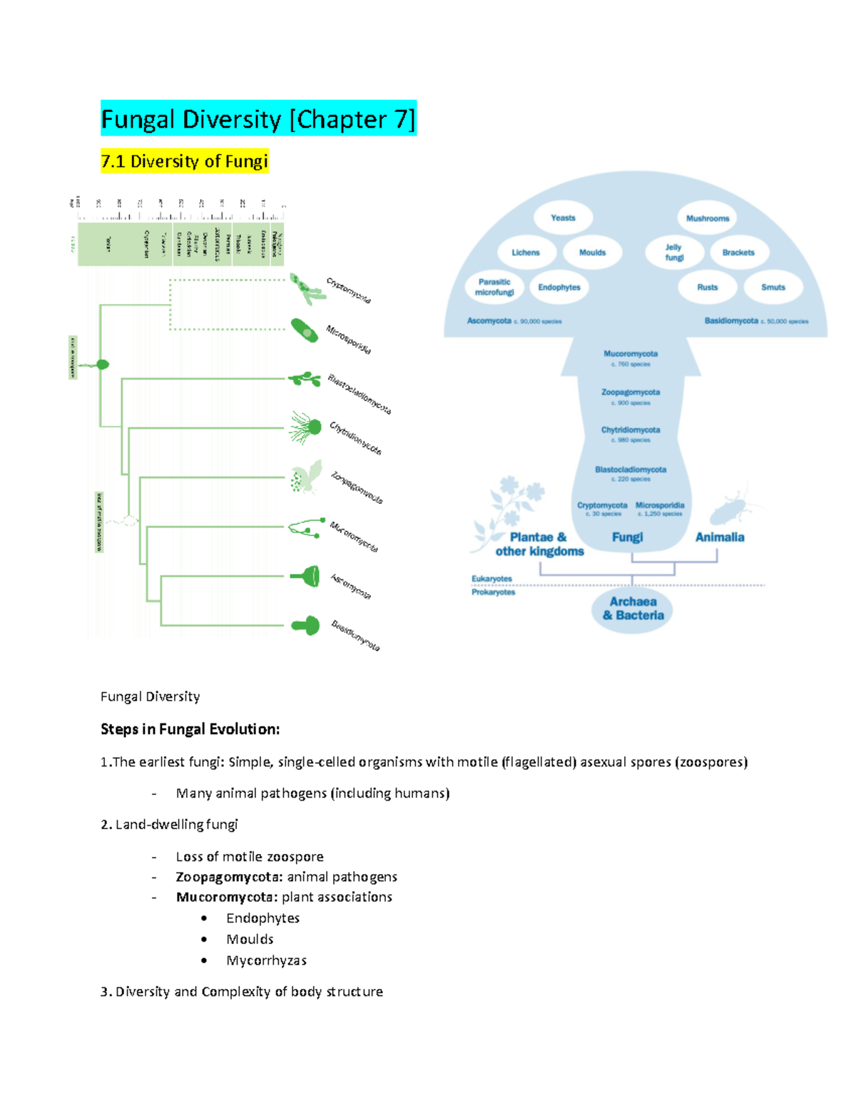Bio Notes Chapter 7 & 8 - Fungal Diversity [Chapter 7] 7 Diversity Of ...