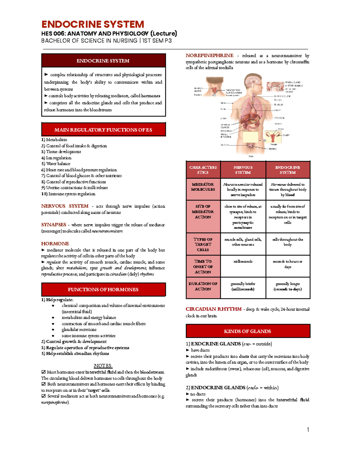 ENDO SYS HORMONES - HES 006: ANATOMY AND PHYSIOLOGY (Lecture) BACHELOR ...