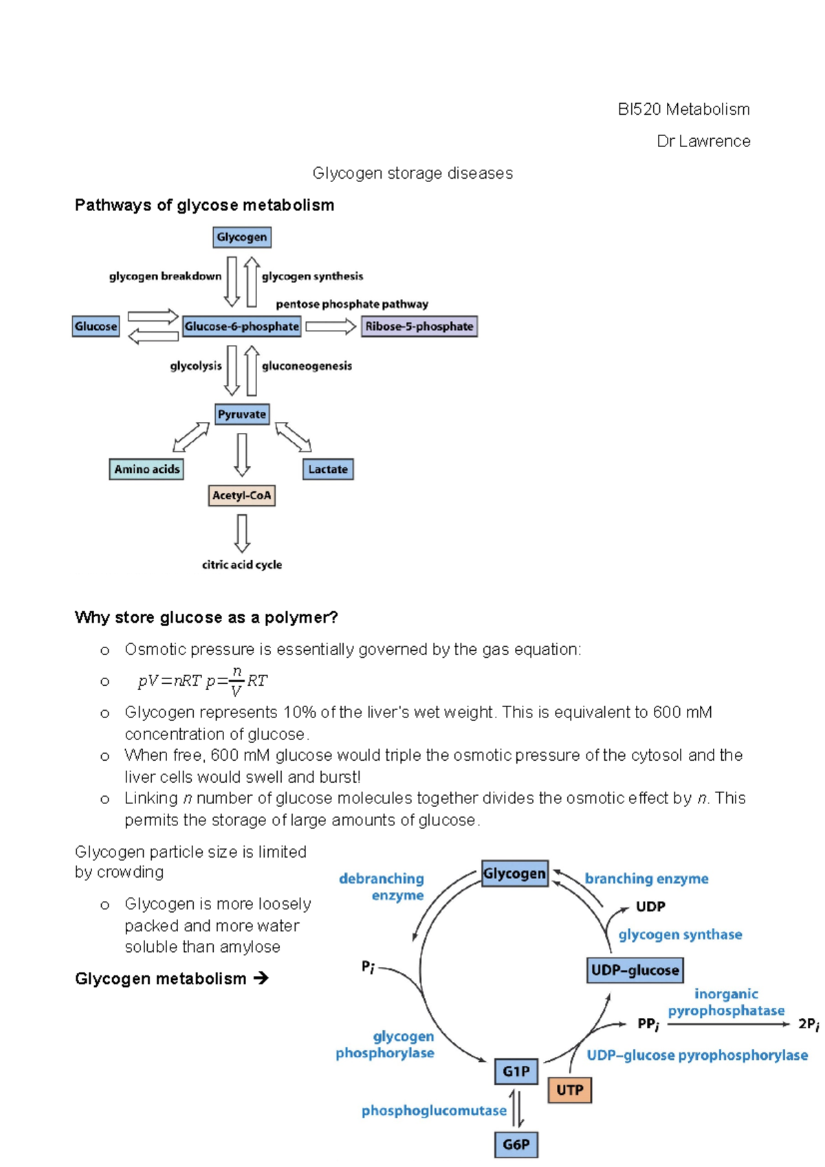 Glycogen storage diseases - BI520 Metabolism Dr Lawrence Glycogen ...