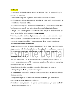 Odontogénesis - Resumen Histología Y Embriología Bucodental ...