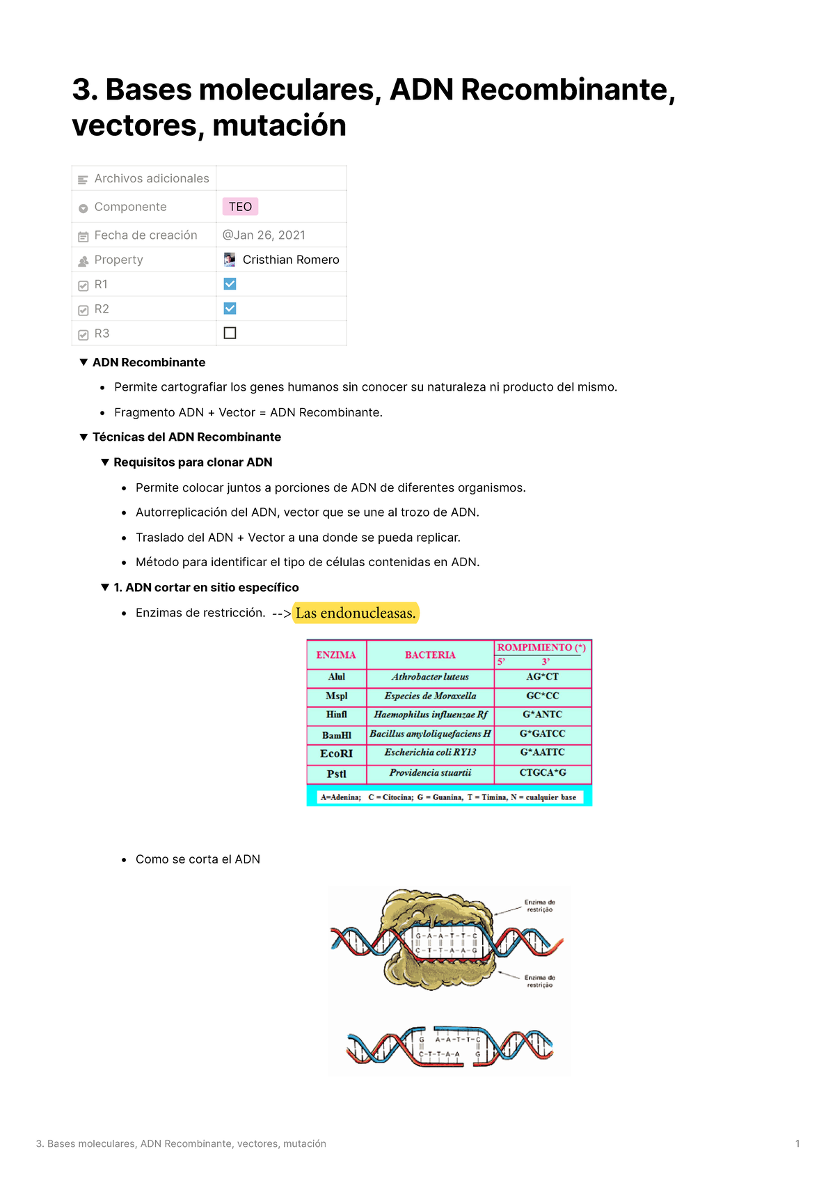 Capitulo 3: Bases Moleculares, ADN Recombinante, Vectores, Mutación - 3 ...