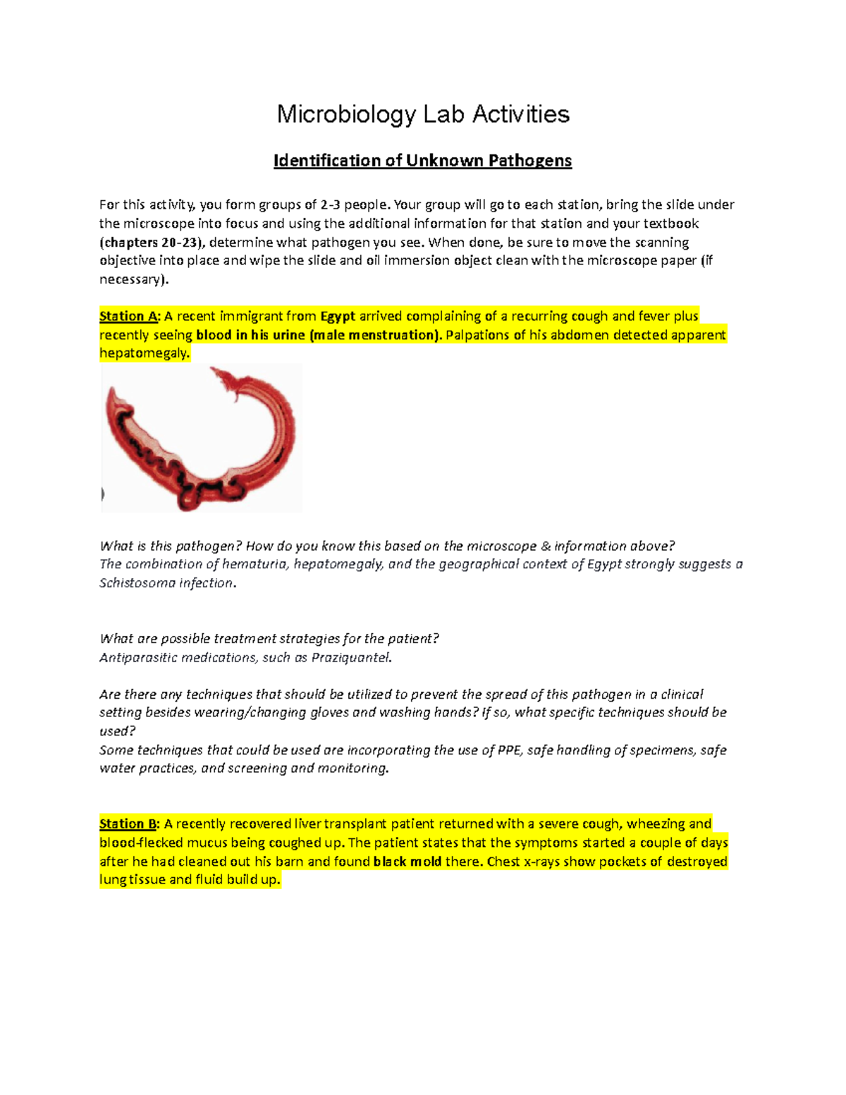 Week 8 Microbiology Lab Assignment Microbiology Lab Activities Identification of Unknown