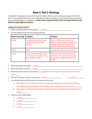 Copy of Copy of BIO 145 Week 4, Part 1 Histology Study Guide - Week 4 ...