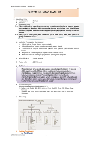 golden rice essay