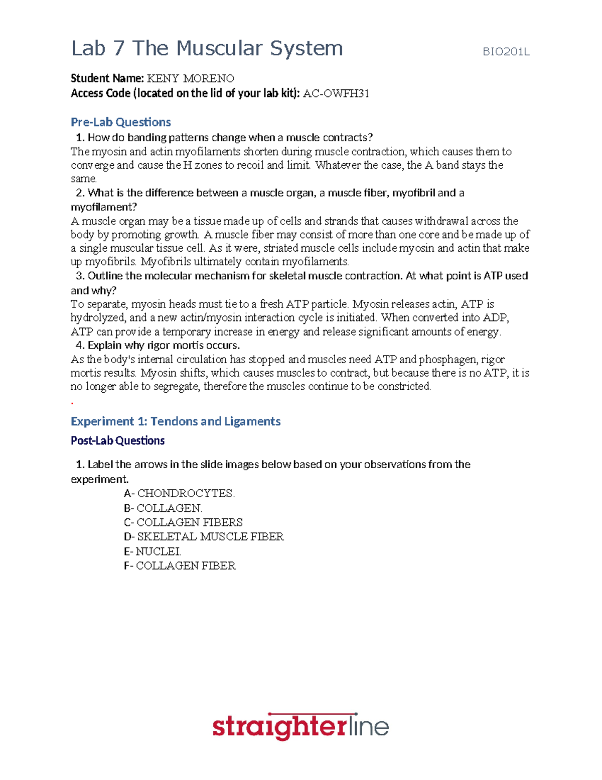 BIO201L+Lab+7 KENY Moreno - Student Name: KENY MORENO Access Code ...