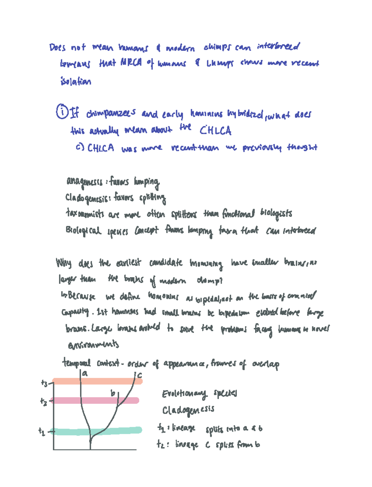 Lecture 13 human derived traits - Does not mean humans modern chimps