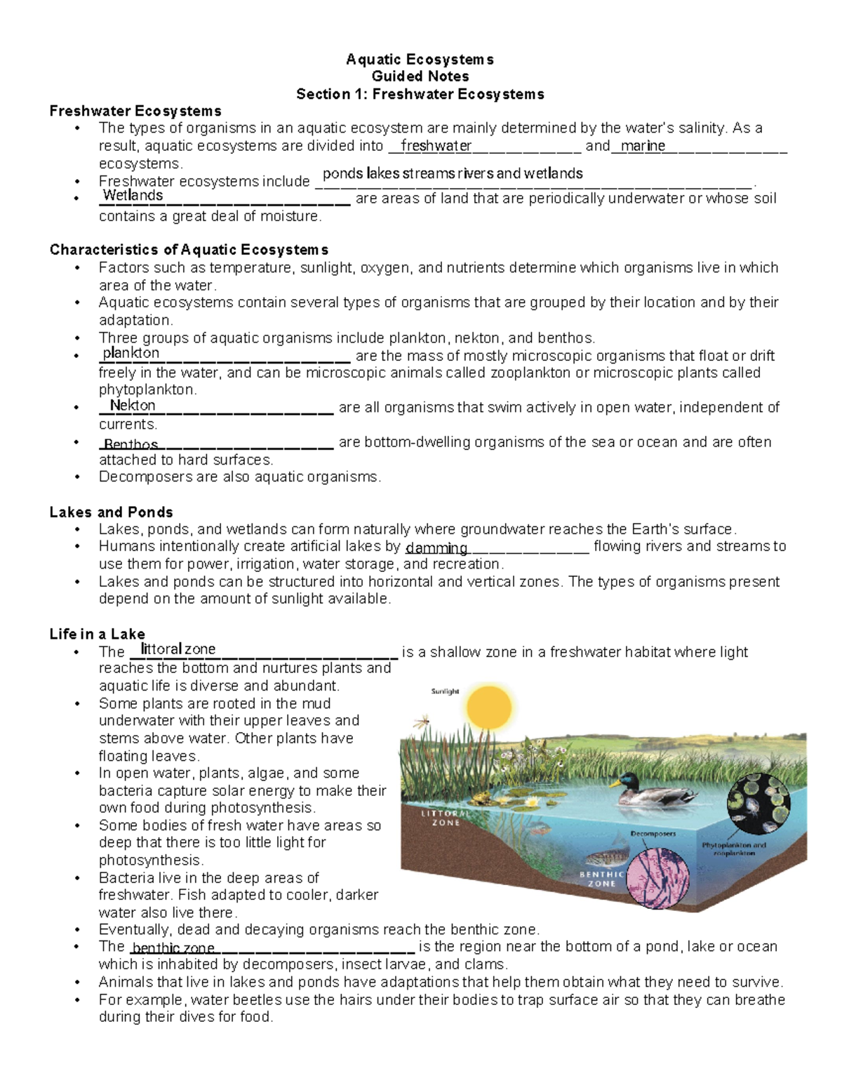 Aquatic ecosystems freshwater and marine guided notes - Aquatic ...