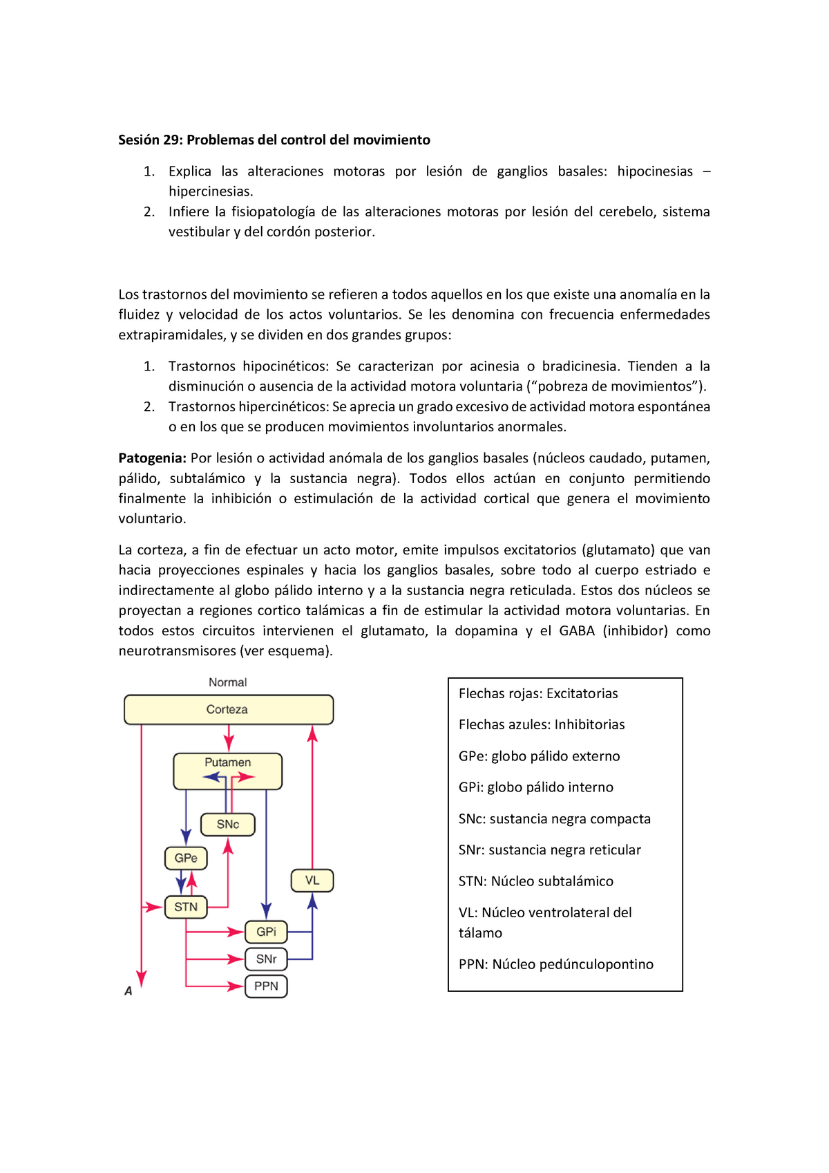 Trastornos Hipo Hipercinéticos - 29: Problemas Del Control Del 