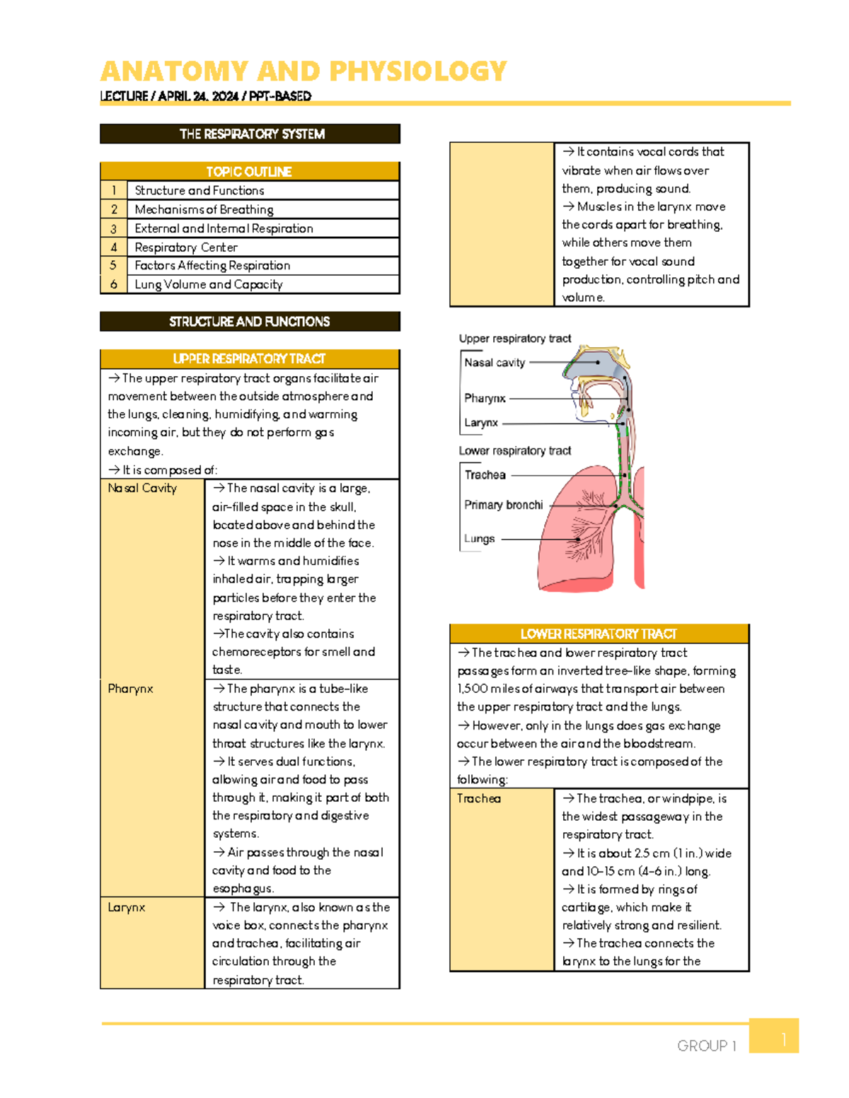 The respiratory system (ANAPHY) - LECTURE / APRIL 24, 2024 / PPT-BASED ...