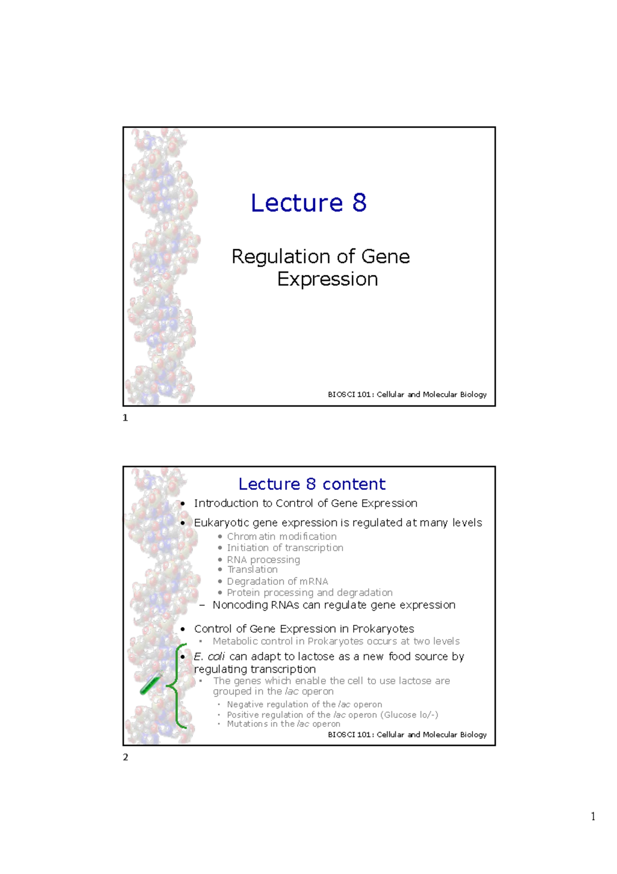 Kate's CMB Lect 8 2020 RF - Lecture 8 Regulation of Gene Expression ...