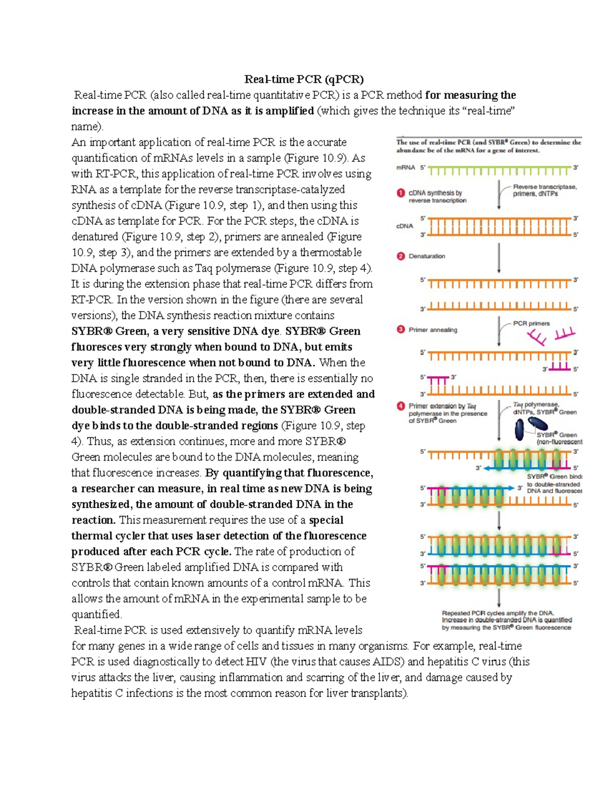 Q PCR - Summary Biotechnology - Microbiology - PCR (qPCR) PCR (also ...