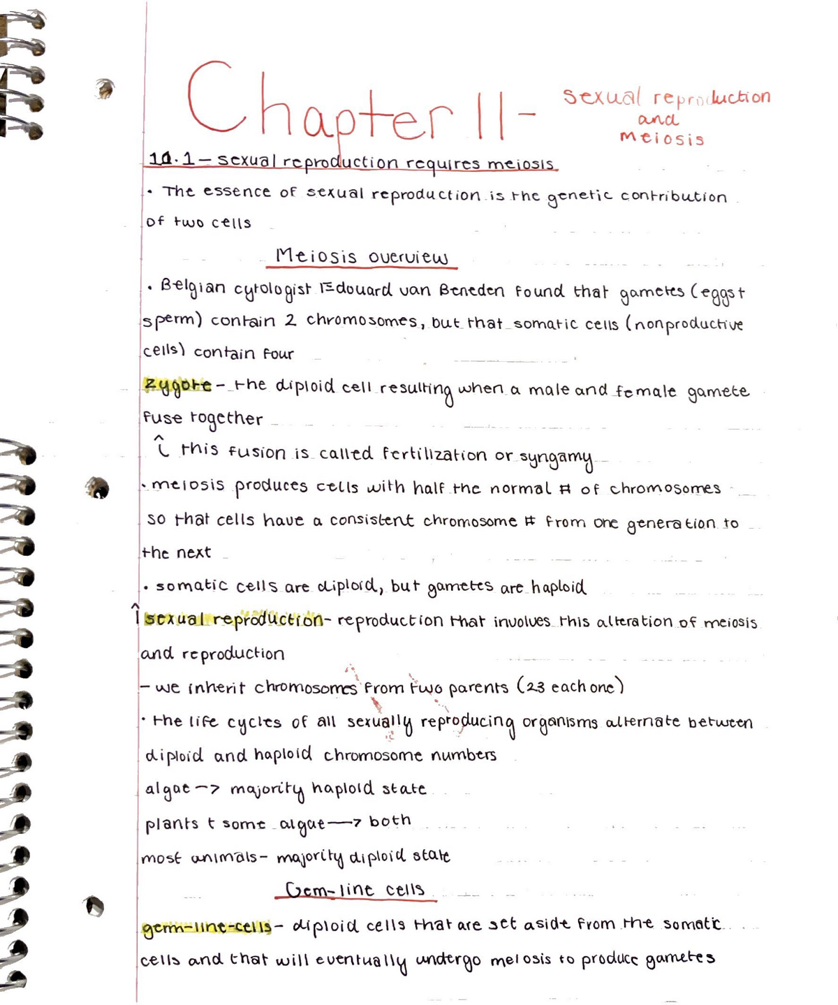 Bio 1406 Chapter 11 Notes - BIOL 1406 - TAMUCC - Studocu