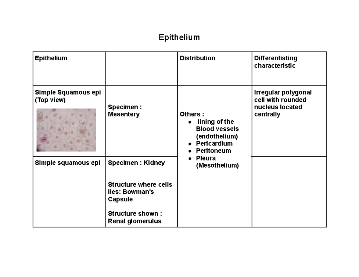 Histo LAB Notes - Epithelium Epithelium Distribution Differentiating ...