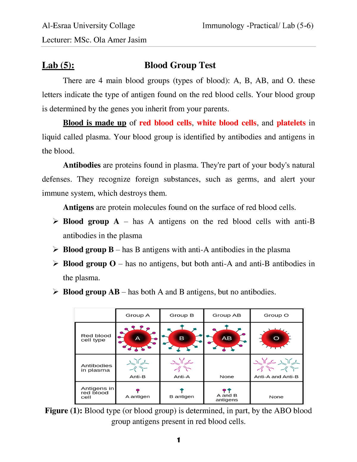 Lab (5) Blood Group Test Lecturer MSc. Ola Amer Jasim Lab (5