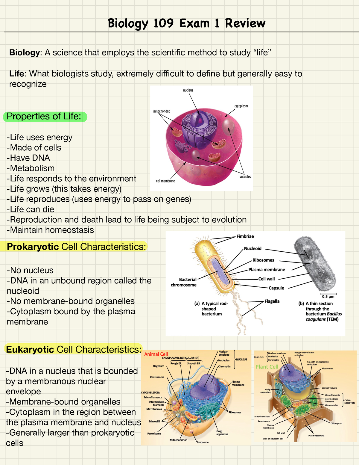 Bio Exam 1 - Study Guide For Exam 1 - Biology : A Science That Employs ...