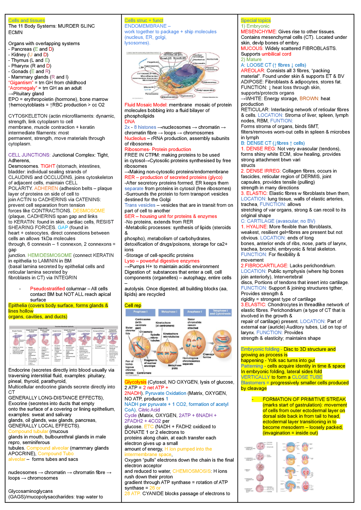 Biology Cheat Sheet - Cells and tissues The 11 Body Systems: MURDER ...