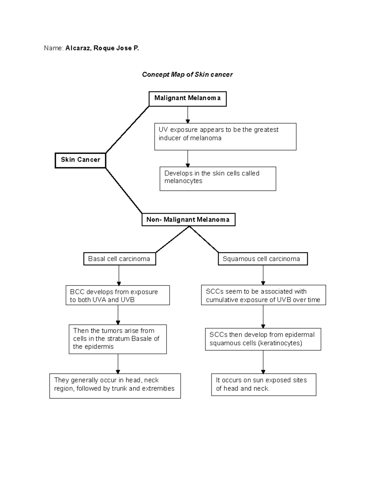 Concept Map (The Integumentary System) - Name: Alcaraz, Roque Jose P ...