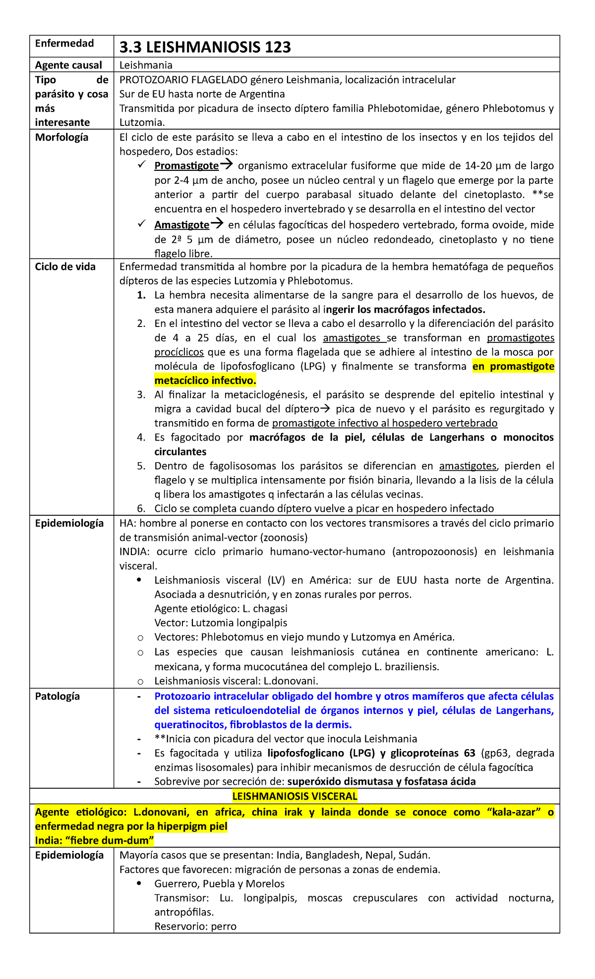 fisión binaria en leishmania