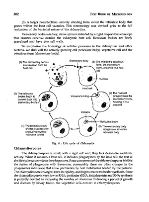 Text Book of Microbiology (1)-83-100 - BACfERIA 83 80% of peptidoglycan ...