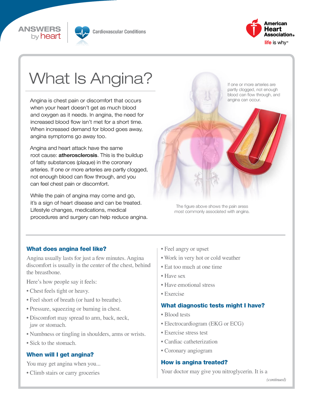 angina-chest-pin-symptoms-risk-factors-treatment-how-to-relief