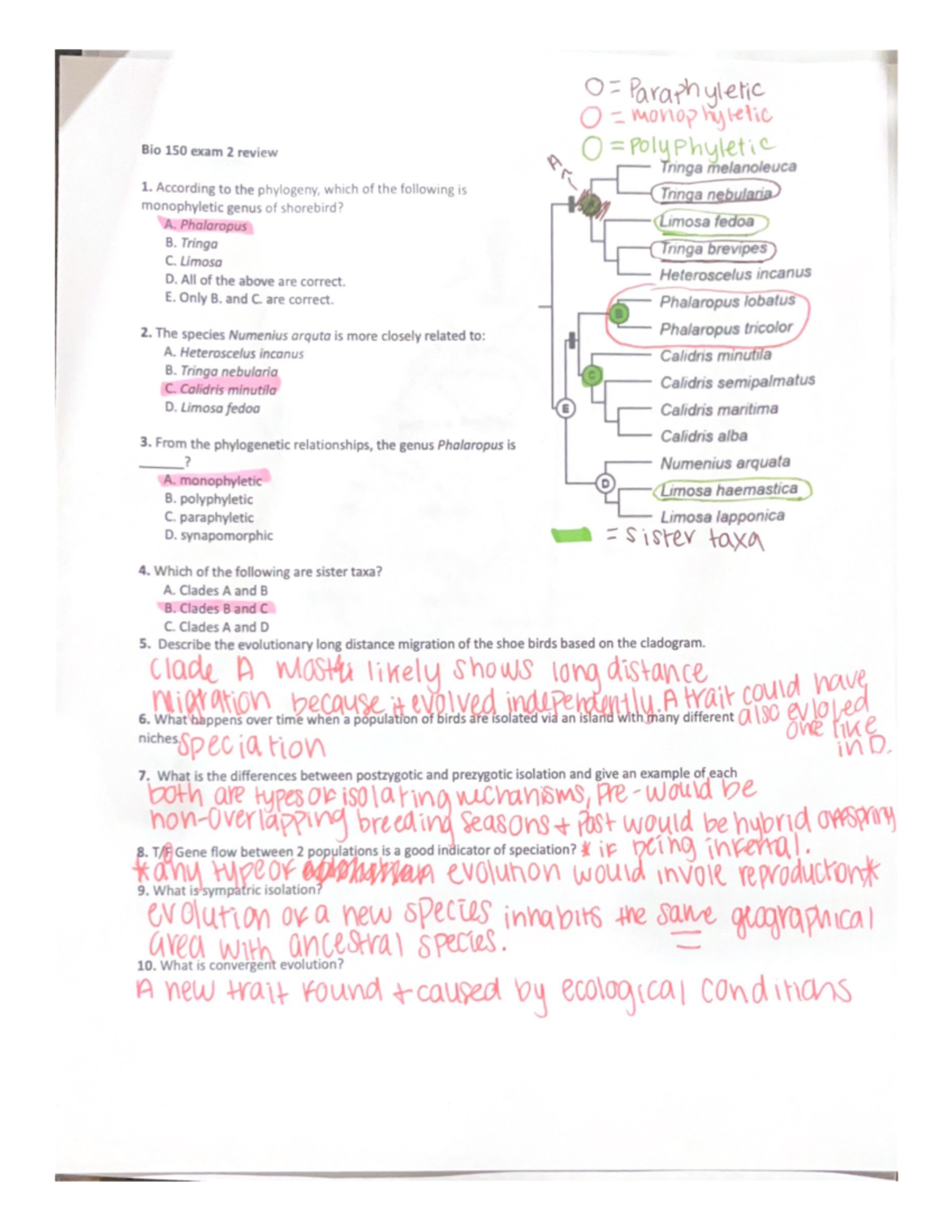 case study bio 150