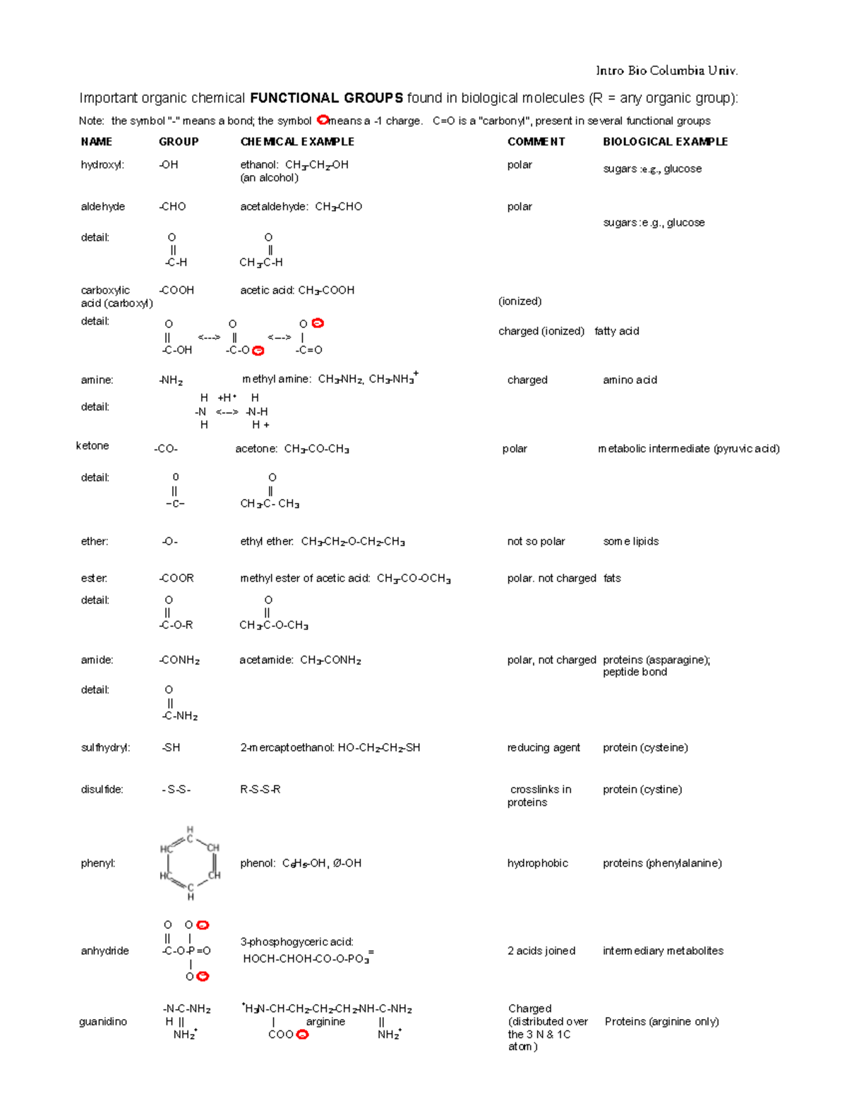 Handout for Organic Chemistry class - NAME GROUP CHEMICAL EXAMPLE ...