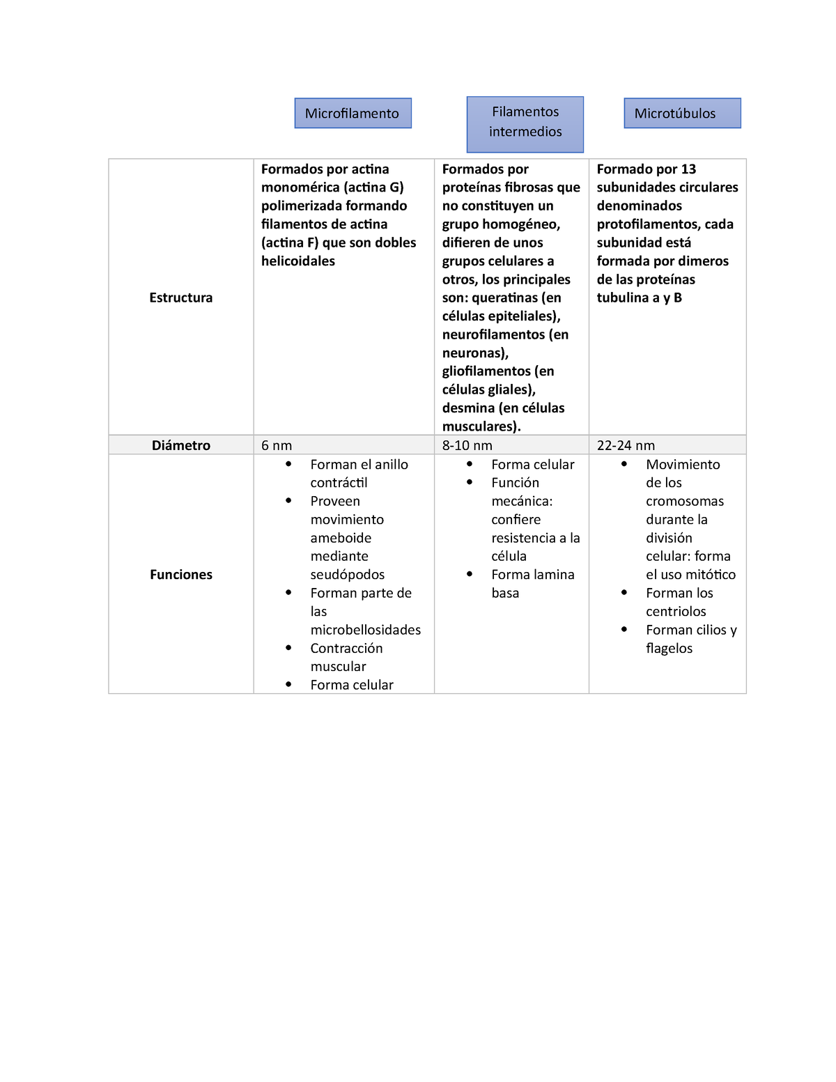 Cuadro Comparativo Componentes Citoesqueleto Estructura Formados Por Images And Photos Finder 6186