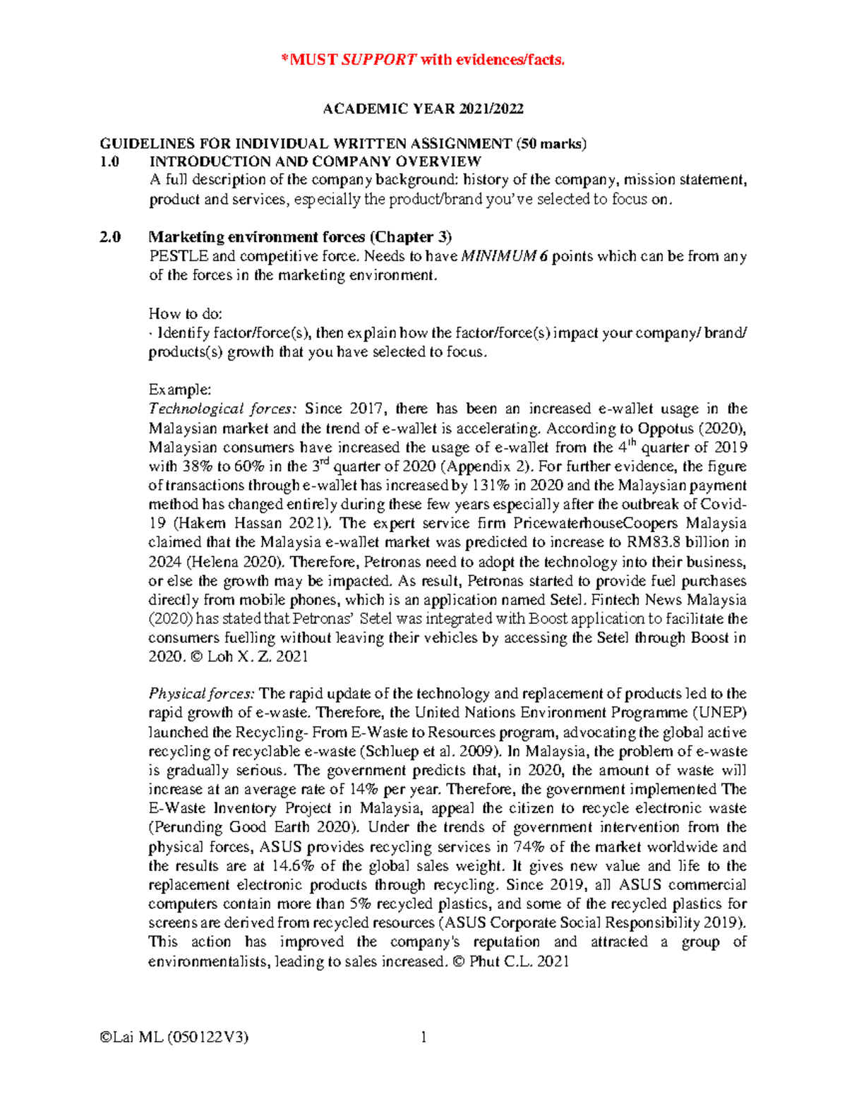 Guidelines for Individual Assignment V4 - *MUST SUPPORT with evidences ...