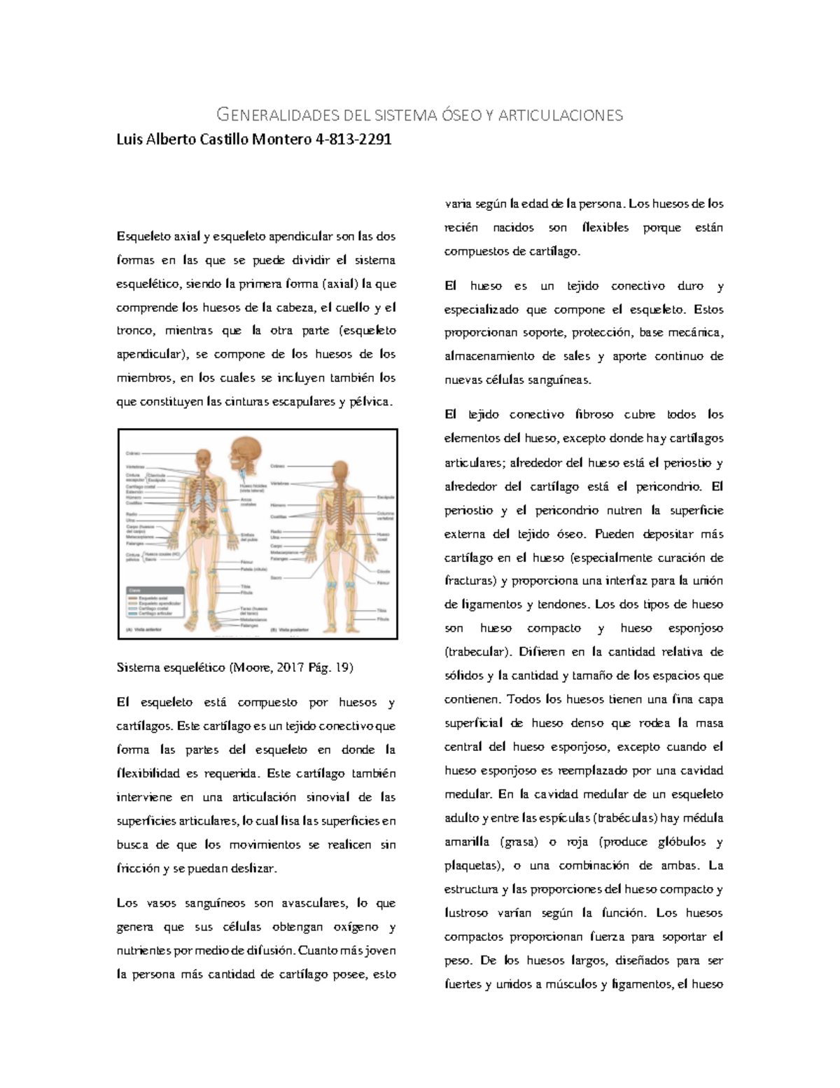 Generalidades del sistema óseo y articulaciones - GENERALIDADES DEL ...