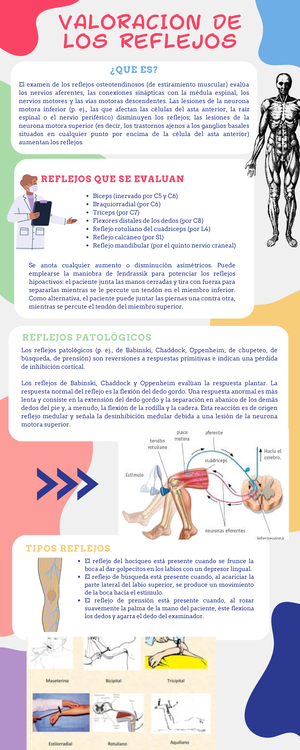 evaluación de reflejos